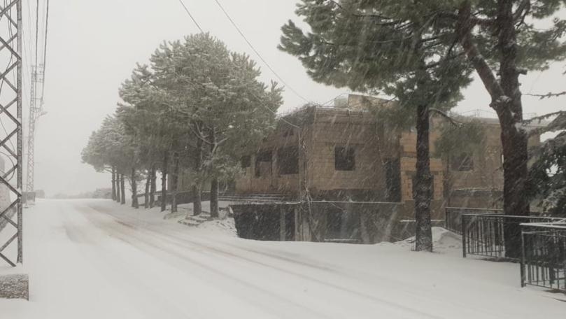 بالصورة: مايا دياب تحتفل... فما المناسبة؟