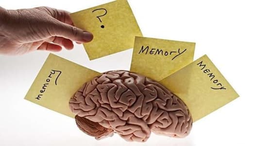 هكذا يعمل دماغك لاستعادة الذكريات