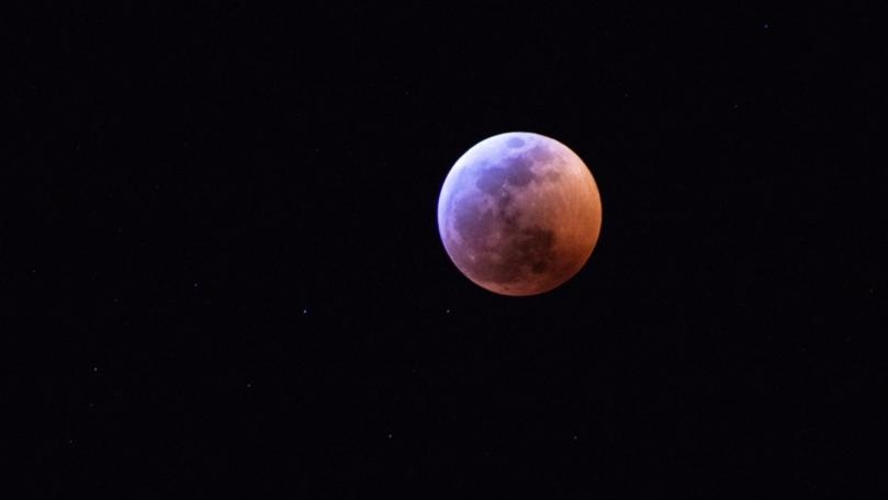 ما قصّة حمالات الصدر التي يرتديها اللاعبون؟