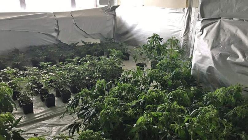 Huge Cannabis Factory Found Spanning 3 Floors of Birmingham Tower Block