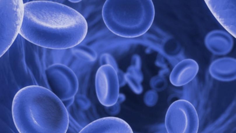 It's a Myth that Blood in Your Veins Is Blue