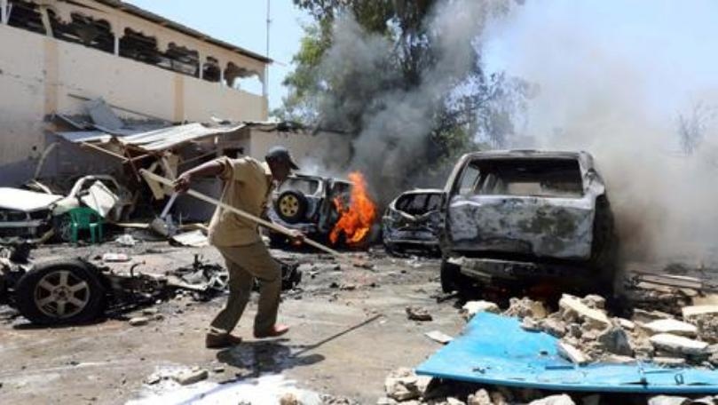 Last Female of World's Rarest Turtle Species Dies in China Zoo