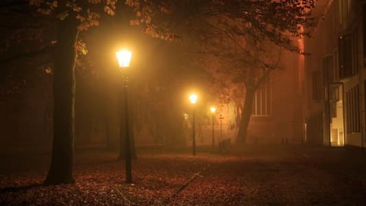 Scientists Say We Should Turn Off Street Lights at Night 