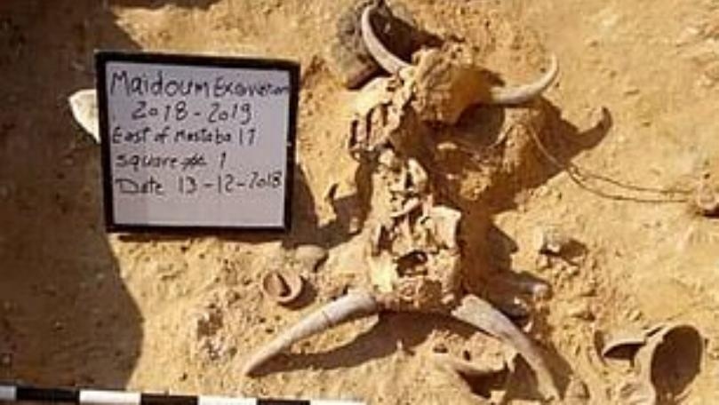 Mysterious Skeleton of a Teenage Girl Found in Squatting Position