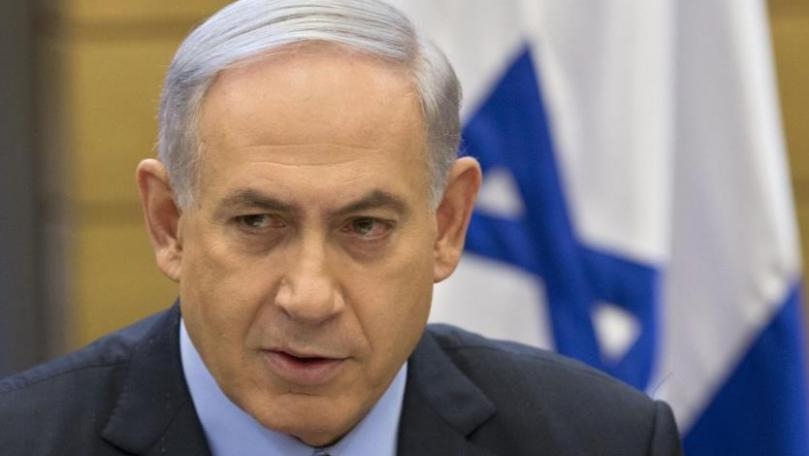 Dog Refuses to Leave Its Dead Friend After It Was Run Over