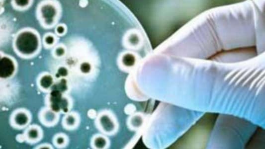 Rise of drug-resistant superbugs rings alarm bells in Europe