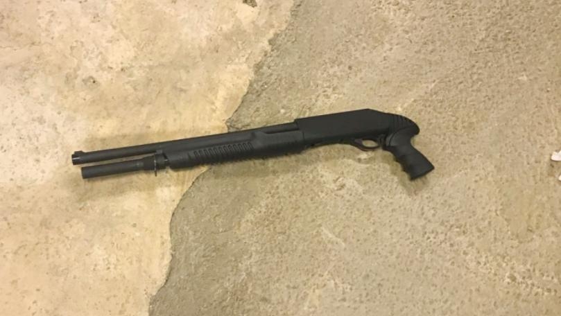 Grumpy Cat, Online Pet Sensation, Dies Aged 7