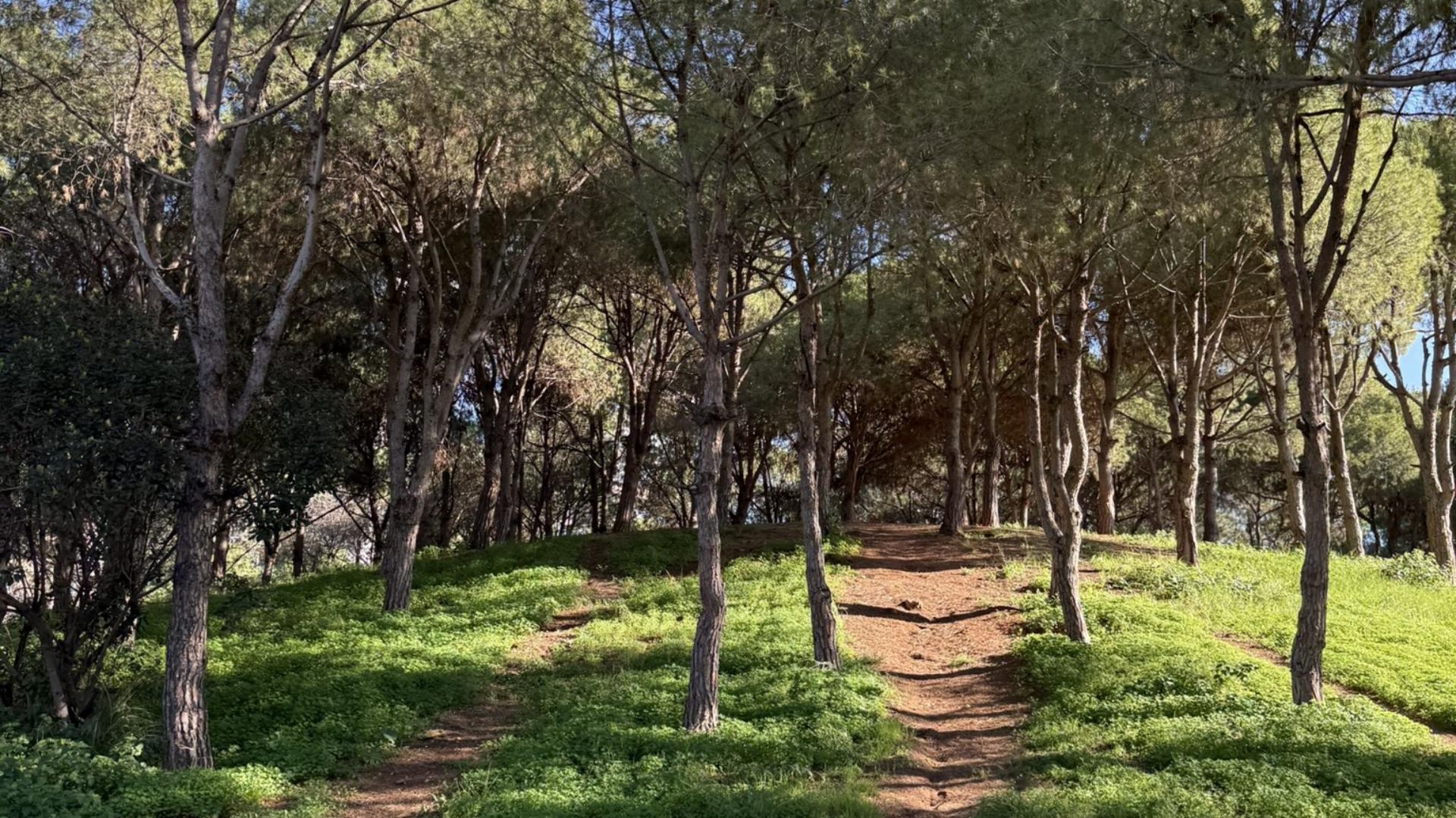 بالصّور: سلام في "حرش بيروت"