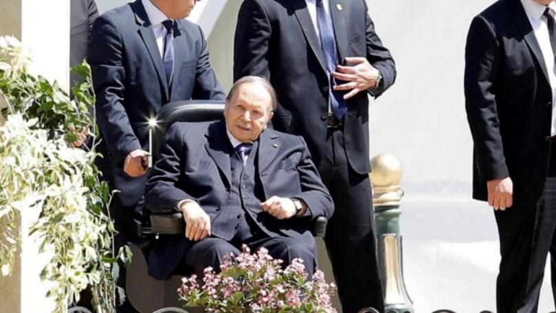 Algeria's Bouteflika names election campaign director