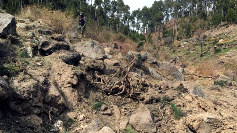 Pakistan to lodge U.N. complaint against India for 'eco-terrorism' forest bombing