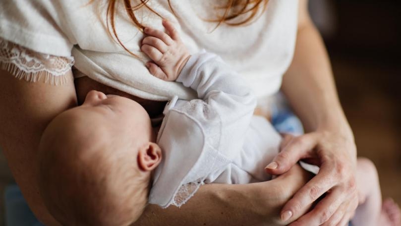 Main Highlight Image