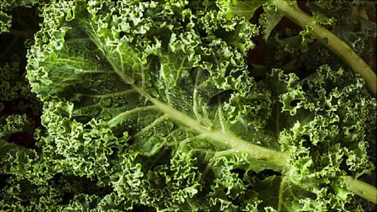 Kale Is One of the Most Contaminated Vegetables You Can Buy