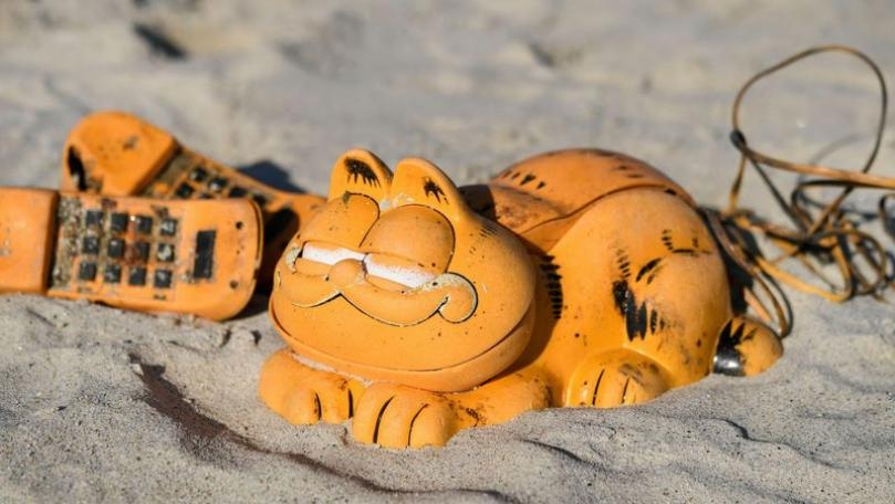 Main Highlight Image