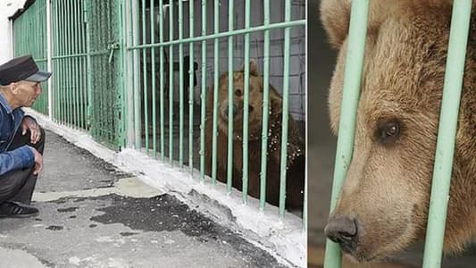 Bear Serves Life Sentence in Kazakhstan Jail With Dangerous Criminals