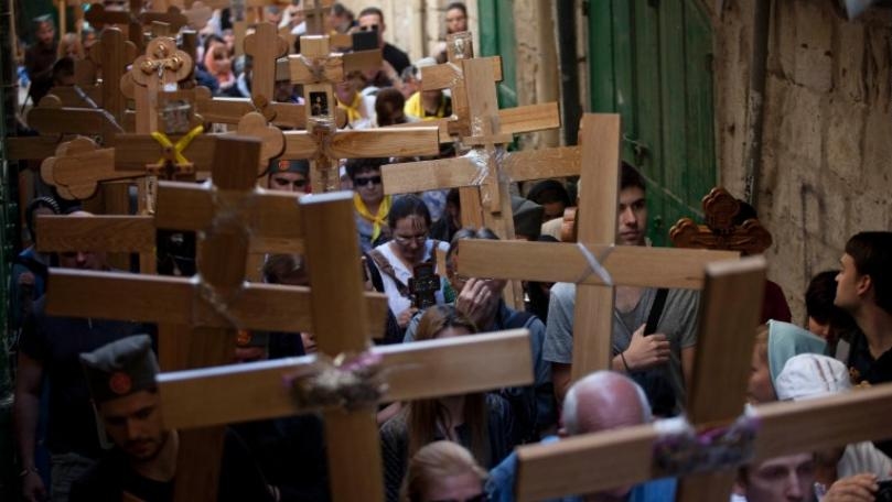 Main Highlight Image