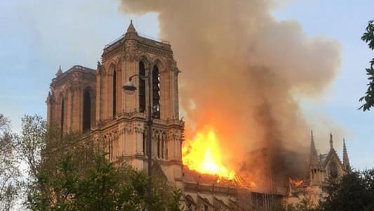 Notre Dame Bees Reportedly Survive as Devastating Fire Made Insects 'Drunk'