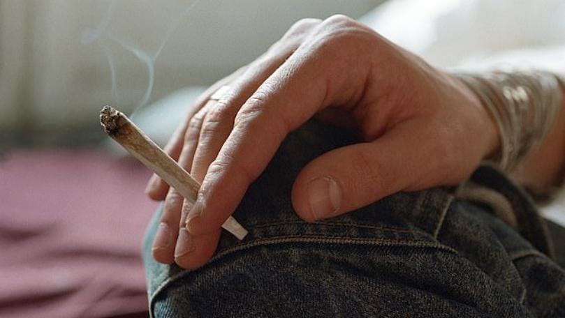 Cannabis Users Are Less Likely to Gain Weight Than Non-users, Researchers Say