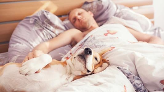 Here's Why Sleeping With Your Dog Is Actually Good for You
