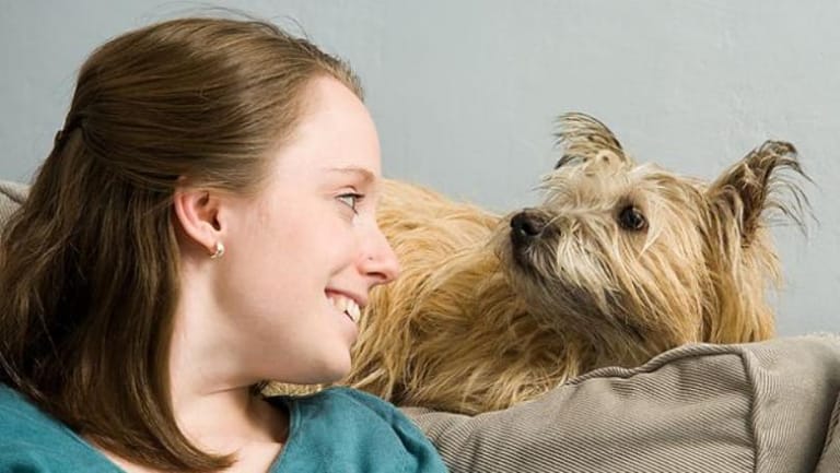 This Is How Dogs Recognize Human Faces