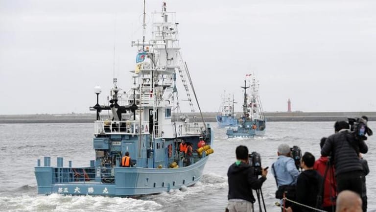 Object which hit north Cyprus appears to have been missile, says FM