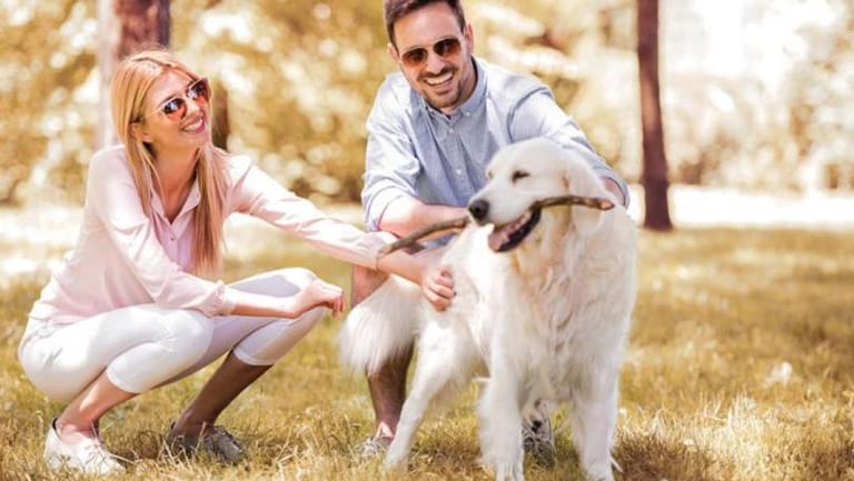 الكَلب.. أفضل مُعالِج!