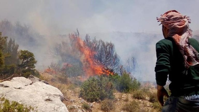 الدفاع المدني يخمد 3 حرائق قضت على أشجار حرجية