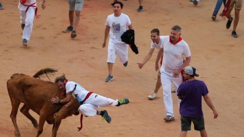 Five hospitalized on seventh day of Pamplona bull run