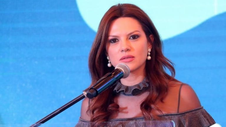 Safadi vows to followup on Abou Ali Bridge fire, repair damages