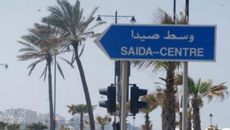 سيارات تجوب صيدا رفضاً للاجراءات في حق العمال الفلسطينيين