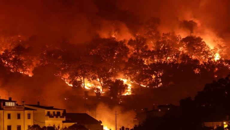 تعبئة كبيرة لمكافحة حريق استثنائي!