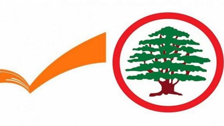 نائب "قواتي" يشيد بوزيرة "التيار"