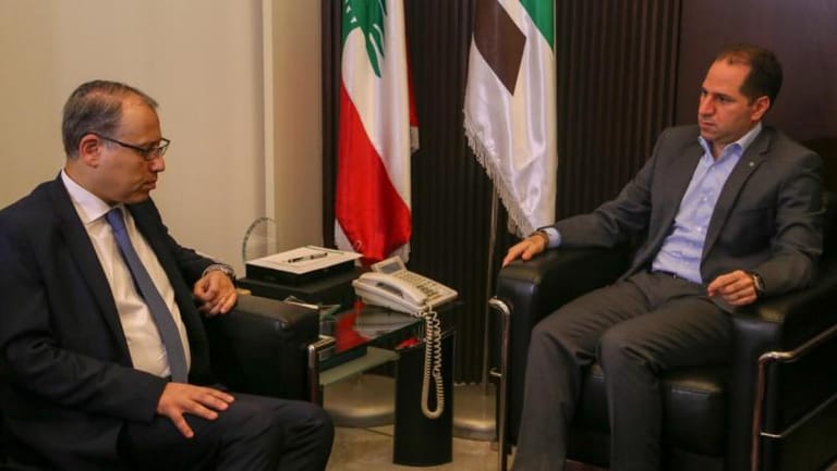 الجميل بحث التطورات مع السفير المصري