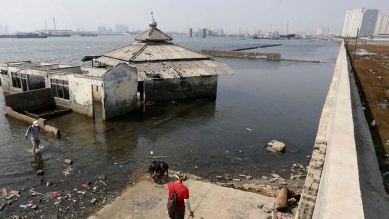 Giant Sea Wall ‘Must Be Built Quickly’ to Stop Indonesian Capital Sinking Into Sea