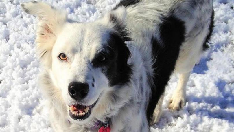 Main Highlight Image