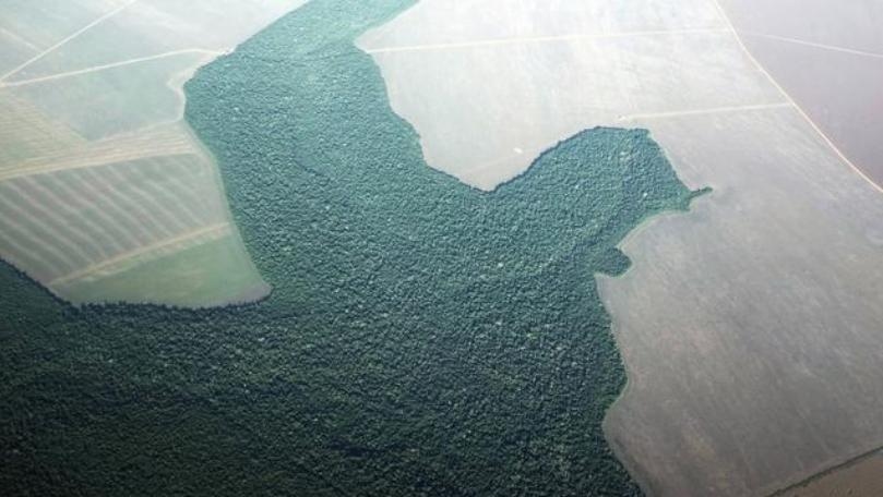 Brazil space research chief to leave job after Bolsonaro deforestation spat