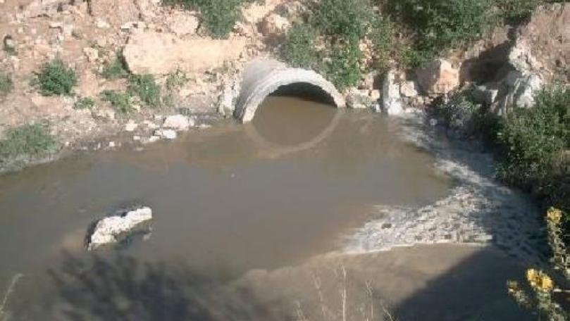 ما القصة المقززة بين التنظيم المدني ومحطات الصرف الصحي؟ التفاصيل في النشرة المسائية