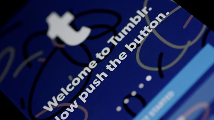Tumblr Sold for Less Than the World's Most Expensive Fish