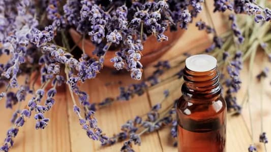 Lavender Oil Could Be Causing Abnormal Breast Growth in Young Boys and Girls