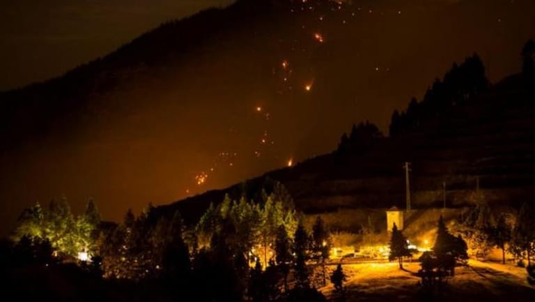 Wildfire prompts evacuations in Canary Islands