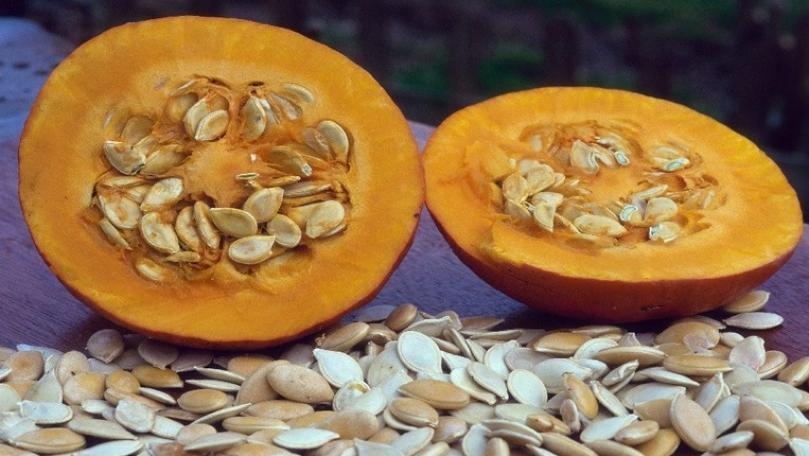 بذور اليقطين تحمي من السكري والتهاب المفاصل