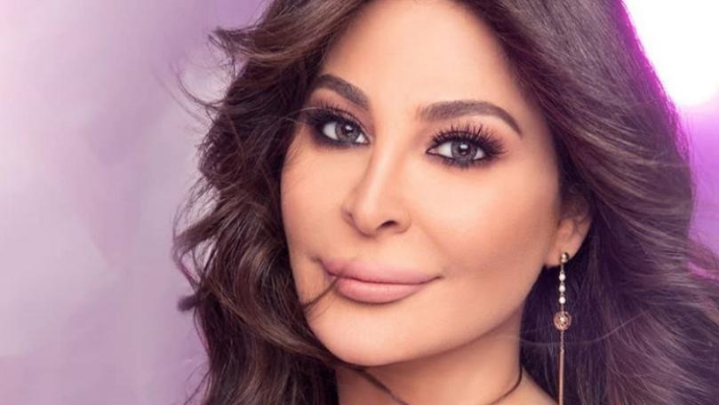 مَن تضامن مع إليسا بعد إعلانها اعتزالها؟ 