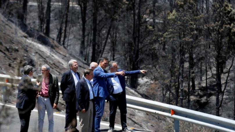 Canary Islands wildfire stable but continues to burn, acting PM says