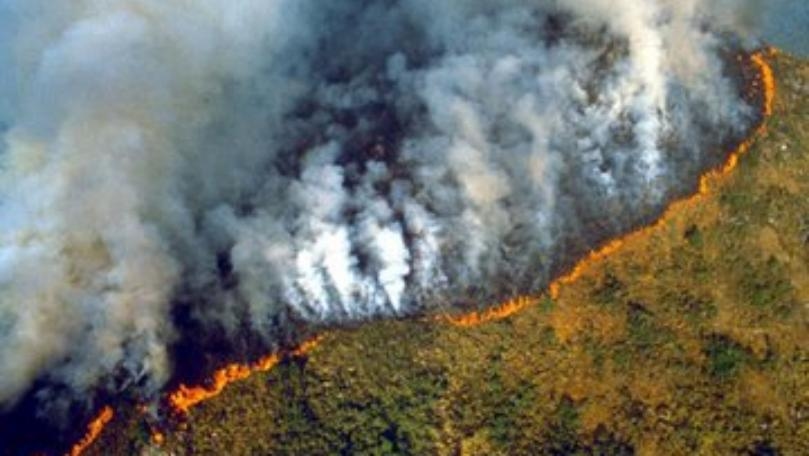 #PrayForAmazonia Goes Viral as Huge Blaze Devastates Brazil's Rainforest