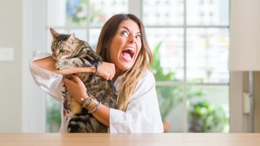 ‘Crazy Cat Ladies’ Do Not Exist, Scientists Say