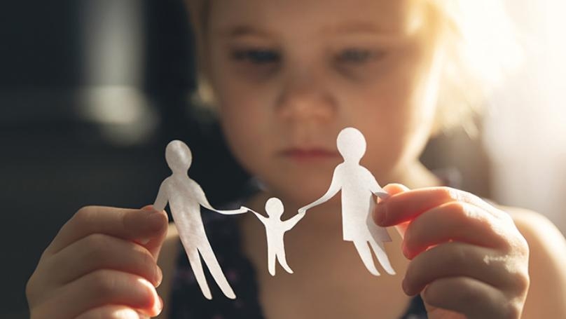 Main Highlight Image