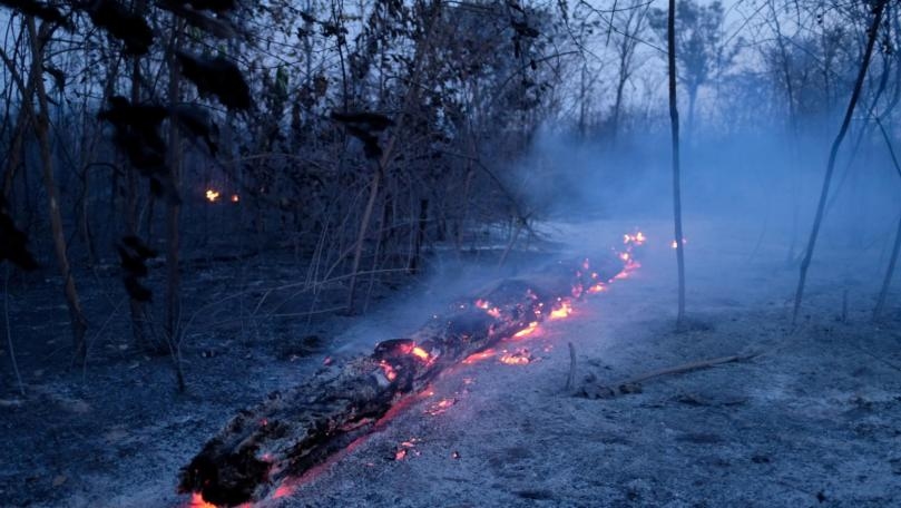Rain will not extinguish Amazon fires for weeks, weather experts say