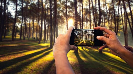 For Better Smartphone Photos, Try These 10 Tips From Pro Photographers