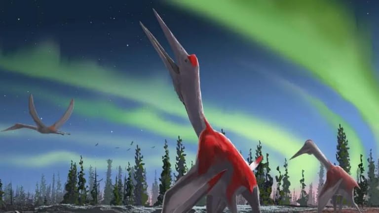 New Species of Flying Dinosaur the Size of Small Plane Identified in Canada