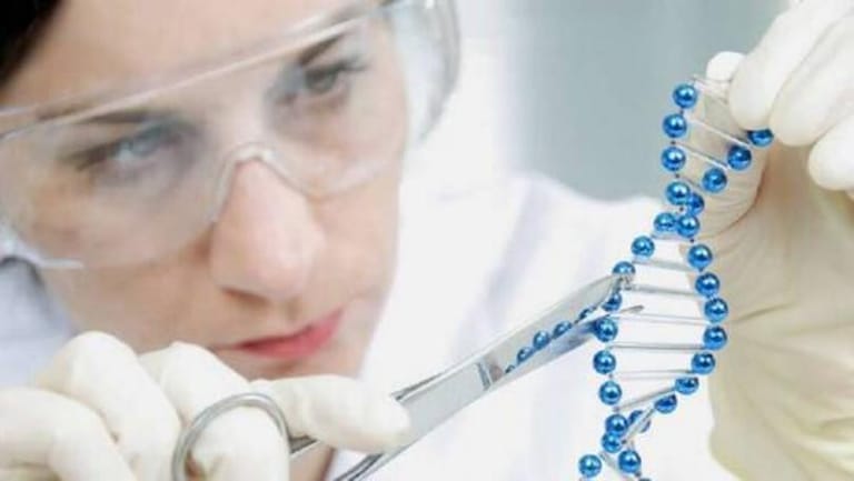 مصري يكتشف طريقة جديدة لمواجهة التشوهات الجينيّة