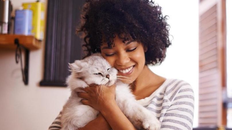 Cats Are Just as Loyal to Their Owners as Dogs, Study Finds
